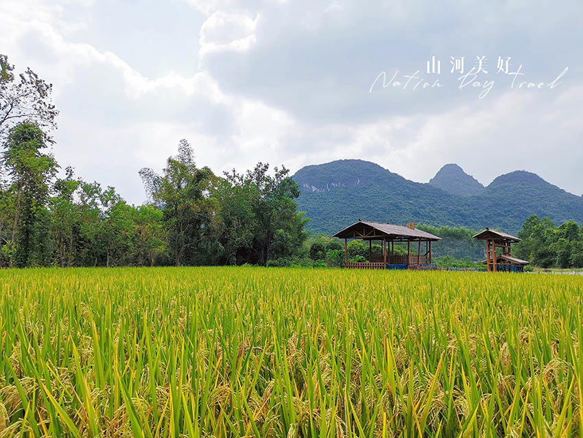赏山悦水·拥抱自然——好色先生TV传媒2020金秋阳朔之旅